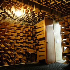 Are you designing for all the senses? Are you designing for all the senses?