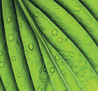 Reynaers Aluminium Systems & the BRE Green Guide! Reynaers Aluminium Systems & the BRE Green Guide!