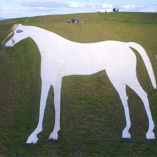 ThermaTech® cleans Westbury White Horse ThermaTech® cleans Westbury White Horse