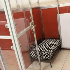 Kennel and cattery refit project at Woodland View