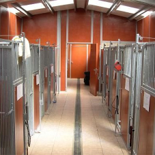 Complete kennel rebuild at Rhyddings Luxury Kennels