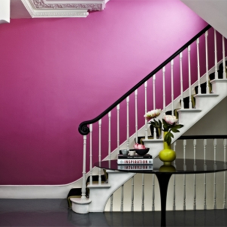 Albany offer perfect paint solutions Albany offer perfect paint solutions