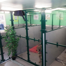 Kennelbuild chosen for a refurbishment project