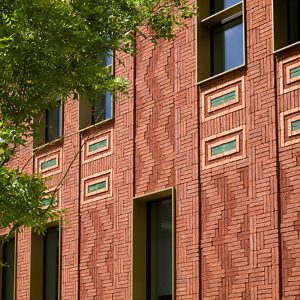 Challenge your imagination and take designing with bricks to the next level