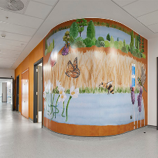 Grange University Hospital Grange University Hospital