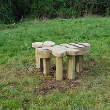 Somerset nature trail welcomes timber animal sculptures Somerset nature trail welcomes timber animal sculptures