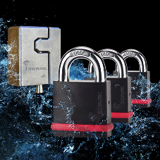Introducing CLIQ® from Mul-T-Lock Introducing CLIQ® from Mul-T-Lock