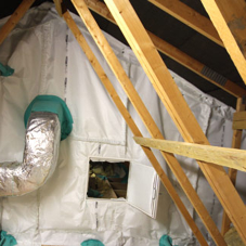Fire Specialist Using TBA FIREFLY™ Range to Treat Essex Doctor's Roof space Fire Specialist Using TBA FIREFLY™ Range to Treat Essex Doctor's Roof space