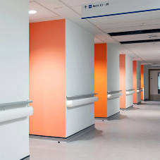 Wall Protection - Royal Sussex County Hospital Wall Protection - Royal Sussex County Hospital