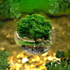 Albion Stone and its commitment to Zero Carbon Albion Stone and its commitment to Zero Carbon