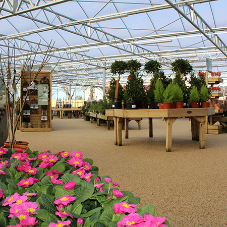 Resin bound paving is a popular option for outdoor surfaces, and it can be a great way to make retail garden centres more aesthetically accessible Resin bound paving is a popular option for outdoor surfaces, and it can be a great way to make retail garden centres more aesthetically accessible