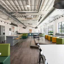 Rap Interiors caters for Albion Fine Foods Rap Interiors caters for Albion Fine Foods