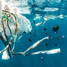 Infinite Plastic Recycling: Transforming Waste Into a Valuable Resource
