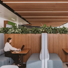 Soundtect introduces Acoura: the versatile ceiling system redefining acoustic comfort Soundtect introduces Acoura: the versatile ceiling system redefining acoustic comfort