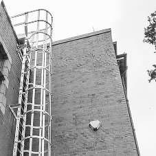 Ascent™ Aluminium Fixed Access Ladder ensures safe rooftop access at the Carnegie Library