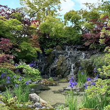 Low carbon concrete for Chelsea Flower Show installation