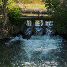 Apogee Provides Utility Survey for River Thame Weir Removal and Fish Pass Project Apogee Provides Utility Survey for River Thame Weir Removal and Fish Pass Project