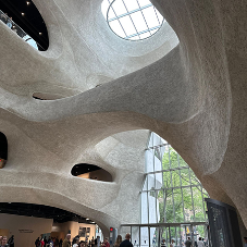 Project Spotlight: American Museum of Natural History Richard Gilder Center, New York