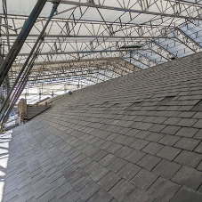 SSQ’s Del Carmen restores Southampton University library