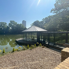 Bespoke Aritco HomeLift Enhances Luxury at Beaufort House
