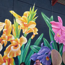 Beautiful New Murals In East Sussex With Albany Paint!