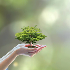Glazing Vision's path towards carbon neutrality Glazing Vision's path towards carbon neutrality