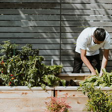 Gardening with Recycled Materials: Sustainable Ideas Outdoor Spaces
