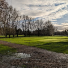 Aqualate Golf Centre, Newport