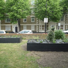 Wilmot Street Raised Beds