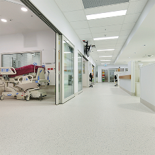 Flexible Floor Tiles/Sheets: Homogeneous Flexible Floor Tiles/Sheets: Homogeneous