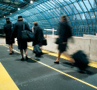 Decorative floor coatings Decorative floor coatings