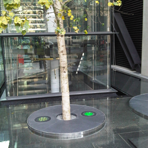 Tree Grilles Tree Grilles