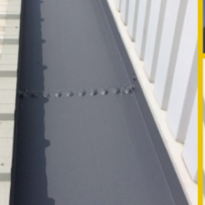 GIROMAX® GUTTERCOAT GIROMAX® GUTTERCOAT