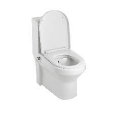 Turkish Style Toilet with Integral Bidet Spray Turkish Style Toilet with Integral Bidet Spray