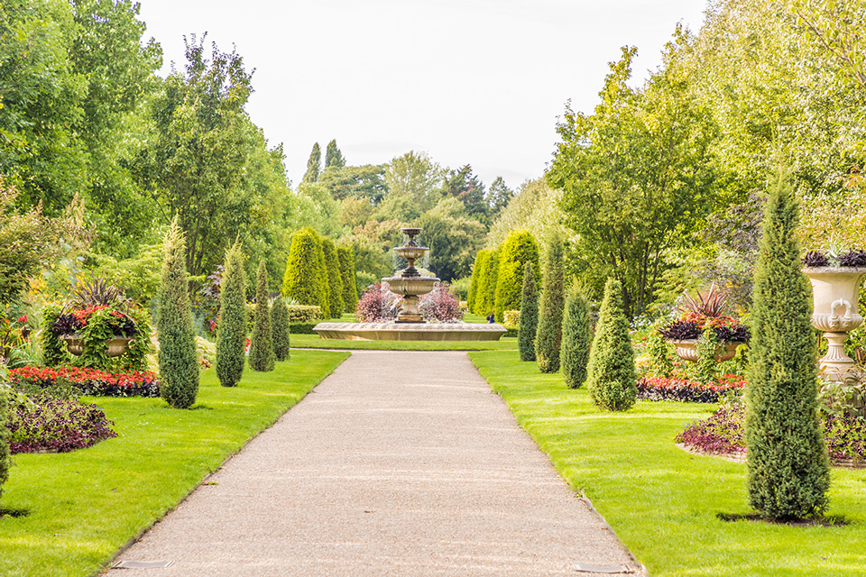 Landscaping