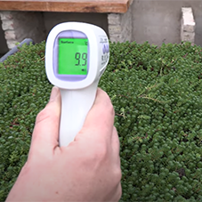 Green Roof Solution to the Urban Heat Island Effect Green Roof Solution to the Urban Heat Island Effect