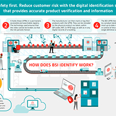 How does BSI Identify work? How does BSI Identify work?