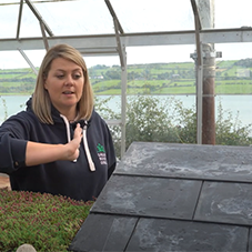Green Roof v Tiled /Slate Roof Rainwater Test Green Roof v Tiled /Slate Roof Rainwater Test