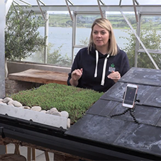Green Roof Sound Insulation & Noise Reduction Test Green Roof Sound Insulation & Noise Reduction Test