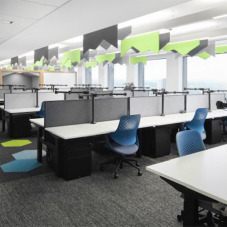 Freestyle Acoustic Wall and Ceiling Range